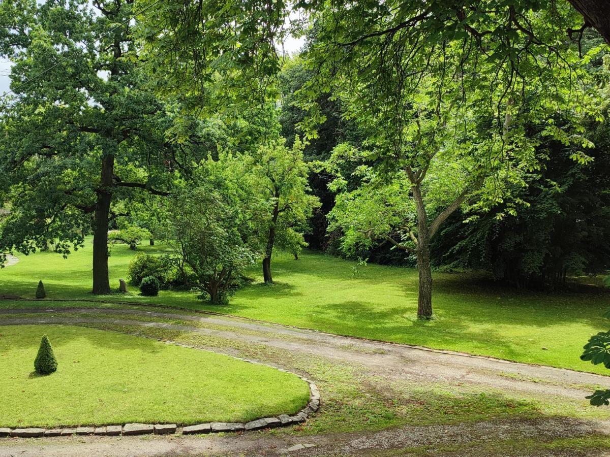 Ferienwohnung Goslar Mit Parkblick Am Harz Ngoại thất bức ảnh